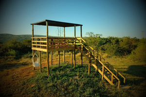Seven Fountains Farm