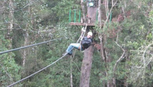 Surges of adrenalin along the Garden Route Tour