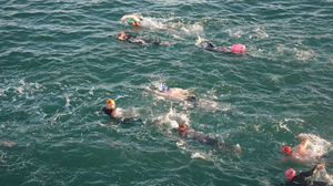 SwimGQ - Open Water Swimming - Gqeberha / Port Elizabeth