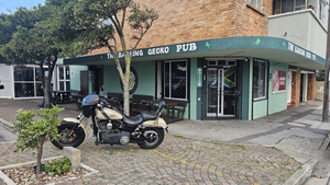 The Barking Gecko