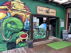 Turtle House Jeffrey's Bay