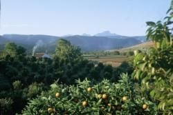 Gamtoosflodens Dal