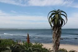 Jeffreys Bay