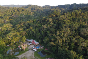 3 jours Jungle Tour Expedition Amazonia Ecuador Tout compris