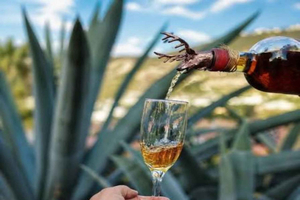 Andes-erfgoed: cultuur, agave en smaken van Ecuador