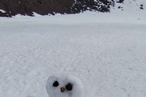 Chimborazo Volcano: Private tour to the closest point to the sun from Riobamba