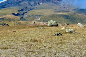 Cotopaxi: Tour among clouds and volcanoes