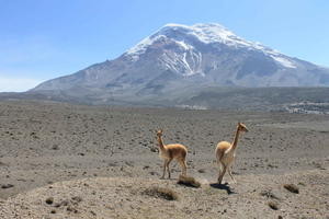 Ecuador: Avenue of the Volcanoes - 7 Days Tour