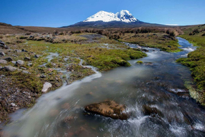 Ecuador: Birding and Cultural Tour from Quito