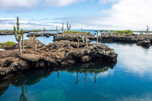 Von der Insel Isabela: Bootstour zu den Tunneln und Schnorcheltour