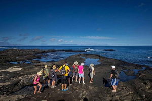Från Puerto Ayora: Daglig tur till North Seymour Island och lunch