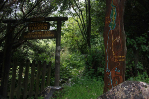 From Quito: Papallacta Trekking & Volcanic Hot Springs
