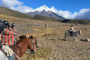 De Quito: Passeio Particular a Cavalo no Cotopaxi, Vida Selvagem e Vistas Amplas