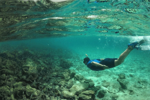 Heldag på Pinzon Island, afslutning i la Fe med snorkling