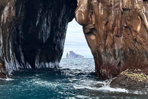 Galápagos Complete: 6 Days, 5 Nights, 3 Islands, 360° Sightseeing Tour, Pinzón Full Snorkel