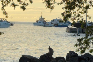 Galápagos: San Cristóbal 4-Day Tour with Snorkeling