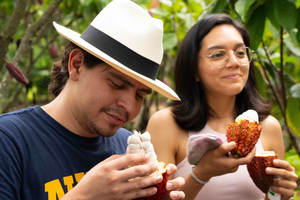 Guayaquil: Cacao Farm Tour & City Highlights Private Tour