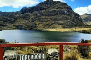 Guayaquil: Cuenca Transfer with Cajas National Park Visit
