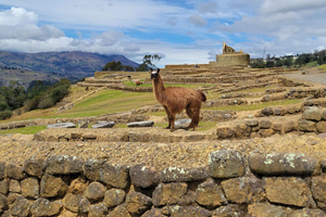 Ingapirca Ruins and Inca Face Small Group Tour from Cuenca.