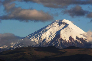 Privado: excursión de 1 día al Parque Nacional Cotopaxi con paseo a caballo
