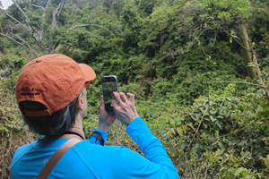 Private Dry Forest Walk & Guayaquil City Tour