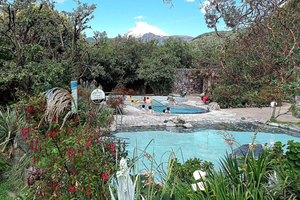 PRIVATE Papallacta Hot-Springs og Guango Cloud Forest