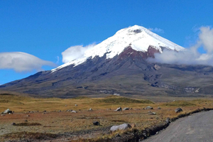 Quito: ruta de senderismo por el volcán Cotopaxi y excursión a la laguna Limpiopungo