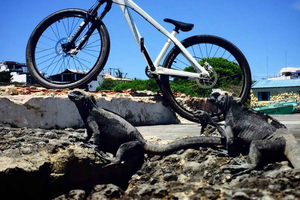 Eiland San Cristóbal: Fietstour naar La Lobería met snorkelen