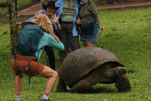 Santa Cruz: Epic Adventure with Lava Tubes and Giant Turtles