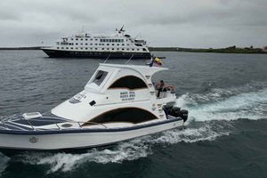 Transfer between Santa Cruz and San Cristobal