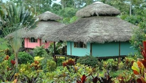 Arasha Resort & Spa