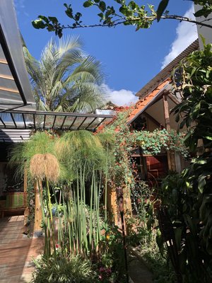 Hostal Yakumama