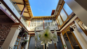 Old town Quito Suites