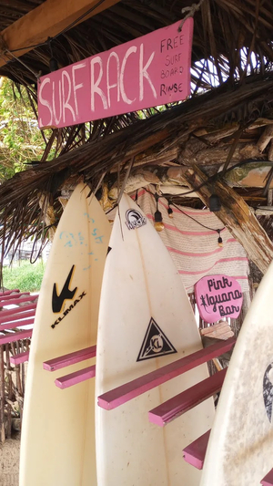Pink Iguana Bar