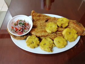 Restaurant Y Marisqueria El Gato