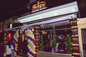 TEDYS