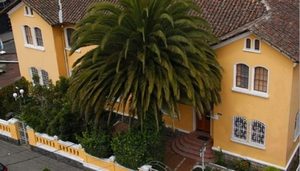 Yellow House