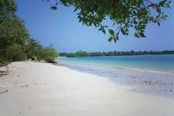 The Galapagos Islands
