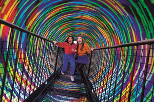 Edinburgh: Camera Obscura og World of Illusions billet
