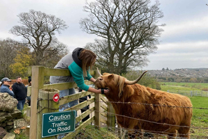 Edinburgh: Highland Cow, Blackness Castle en Cake Tour