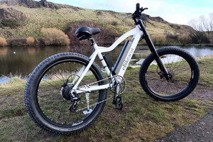 geleide e-biketour door de stad en langs de kust (2,5 uur)