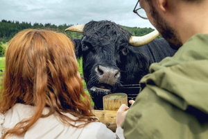 Hairy Coos & Highland Views: Ein kurzer Ausflug von Edinburgh