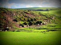 The Borders