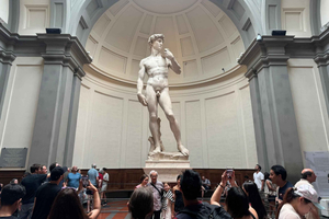 Accademia Gallery Entry Ticket and Guided Tour