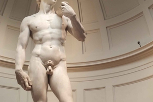 Accademia Gallery Entry Ticket & David Guided Tour