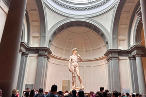 Galeria dell'Accademia : billet d'entrée prioritaire avec audioguide