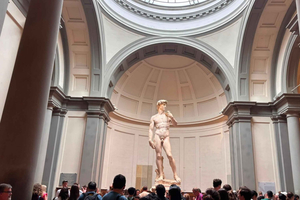 Galleria dell'Accademia: biglietto d'ingresso prioritario