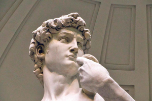 Galerie Accademia avec David : visite privée à Florence