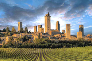 ANTI-BUS TOUR! By van: San Gimignano & Chianti Wine