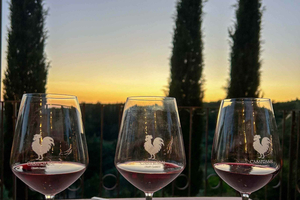 Chianti: Smag vinen og olivenolien på Casafrassi-vingården
